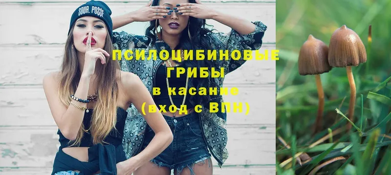 купить закладку  blacksprut рабочий сайт  Галлюциногенные грибы прущие грибы  Каспийск 